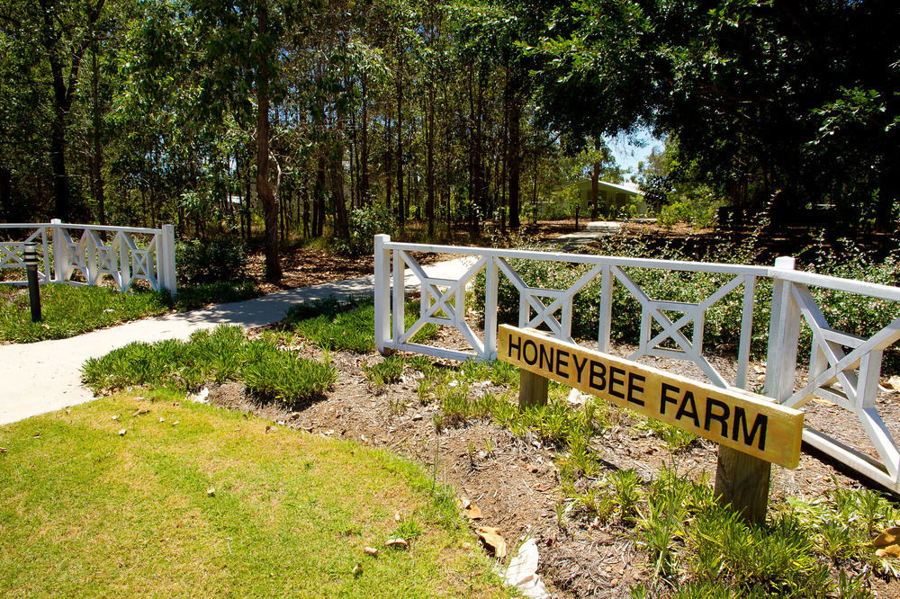 Kandanga Honeybee Wellness Resort المظهر الخارجي الصورة